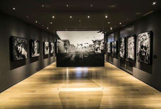 Gallery 11